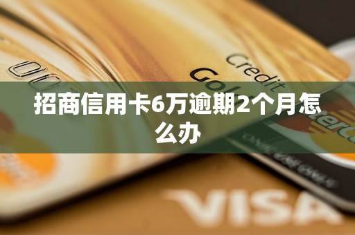 招商信用卡6万逾期2个月怎么办