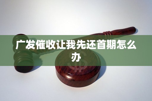 广发催收让我先还首期怎么办