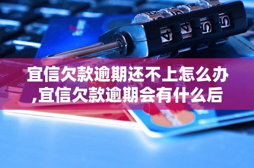 宜信欠款逾期还不上怎么办,宜信欠款逾期会有什么后果