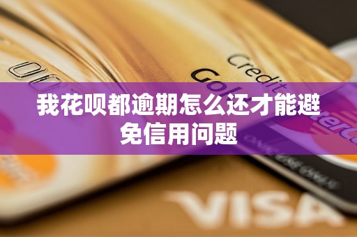 我花呗都逾期怎么还才能避免信用问题