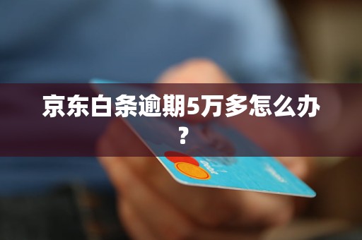 京东白条逾期5万多怎么办？