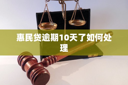 惠民贷逾期10天了如何处理