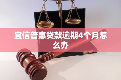 宜信普惠贷款逾期4个月怎么办