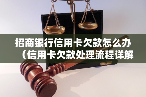 招商银行信用卡欠款怎么办（信用卡欠款处理流程详解）