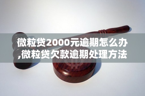 微粒贷2000元逾期怎么办,微粒贷欠款逾期处理方法