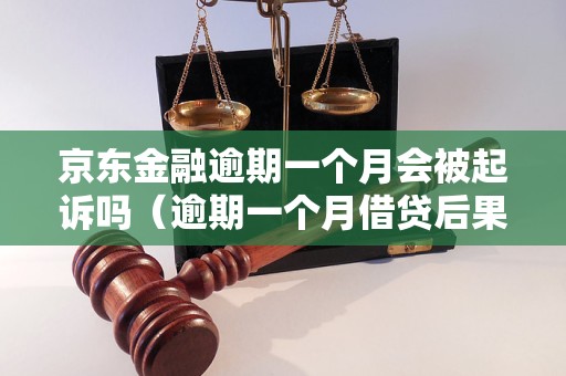 京东金融逾期一个月会被起诉吗（逾期一个月借贷后果详解）