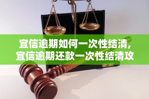 宜信逾期如何一次性结清,宜信逾期还款一次性结清攻略