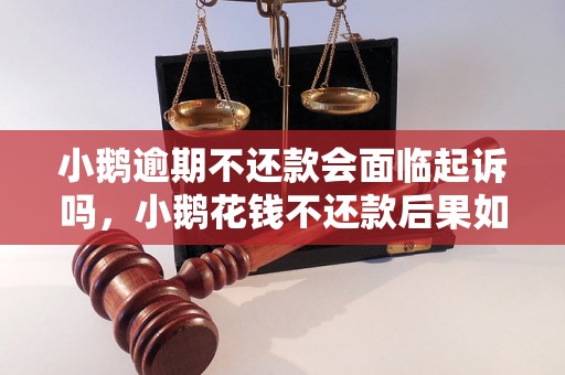 小鹅逾期不还款会面临起诉吗，小鹅花钱不还款后果如何