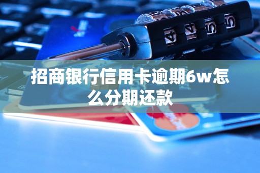 招商银行信用卡逾期6w怎么分期还款