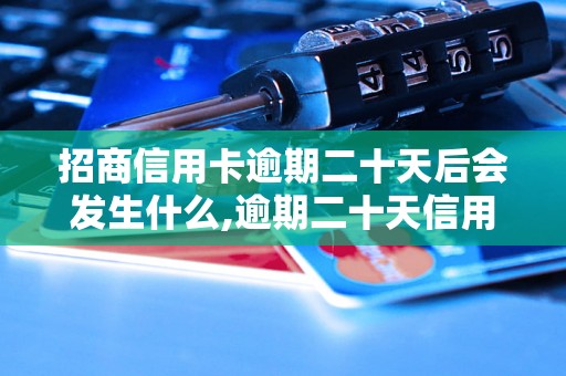 招商信用卡逾期二十天后会发生什么,逾期二十天信用卡后果及处理方式