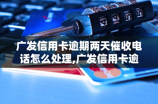 广发信用卡逾期两天催收电话怎么处理,广发信用卡逾期催收电话流程解析