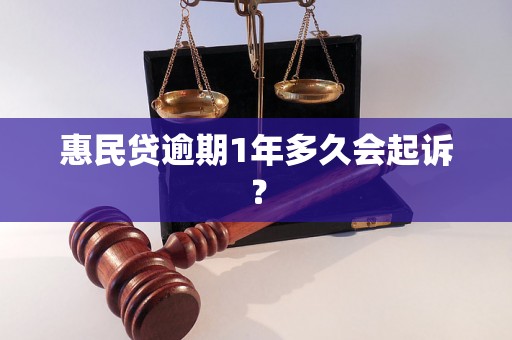 惠民贷逾期1年多久会起诉？