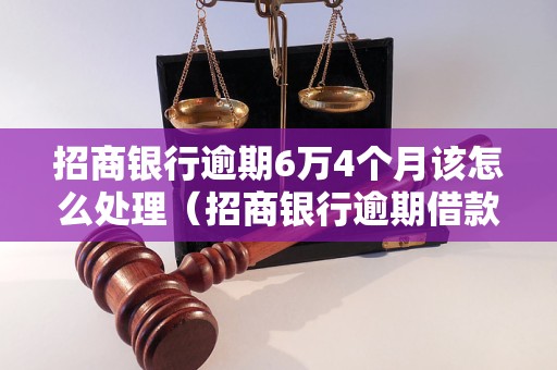 招商银行逾期6万4个月该怎么处理（招商银行逾期借款后果及解决方法）