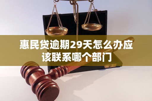 惠民贷逾期29天怎么办应该联系哪个部门