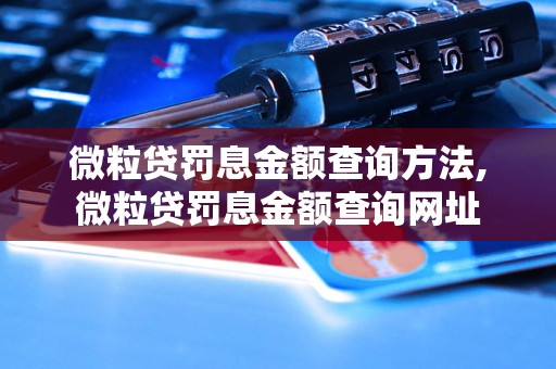 微粒贷罚息金额查询方法,微粒贷罚息金额查询网址