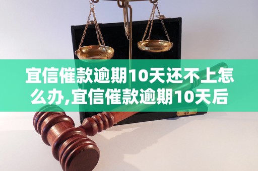 宜信催款逾期10天还不上怎么办,宜信催款逾期10天后的处理方式