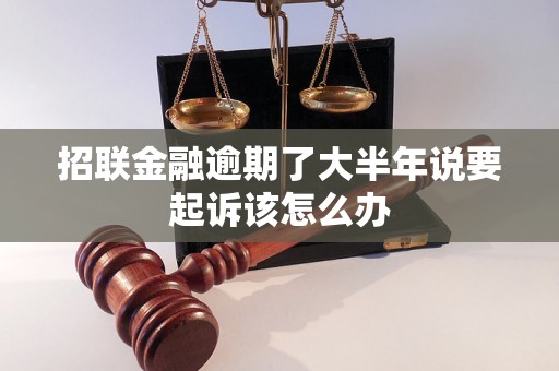 招联金融逾期了大半年说要起诉该怎么办