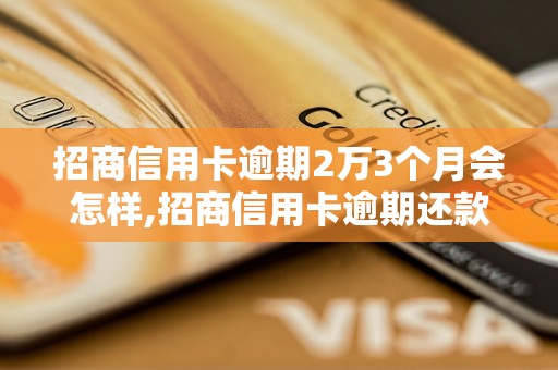 招商信用卡逾期2万3个月会怎样,招商信用卡逾期还款后的处理方法