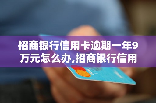 招商银行信用卡逾期一年9万元怎么办,招商银行信用卡逾期一年9万元后果及处理方法