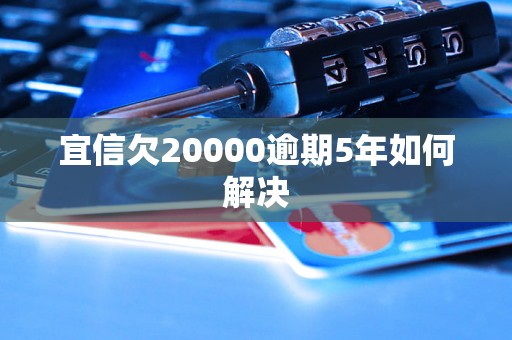 宜信欠20000逾期5年如何解决