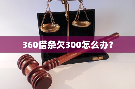 360借条欠300怎么办？