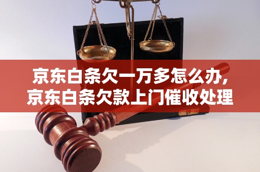 京东白条欠一万多怎么办,京东白条欠款上门催收处理方法