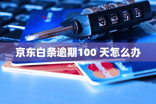 京东白条逾期100 天怎么办