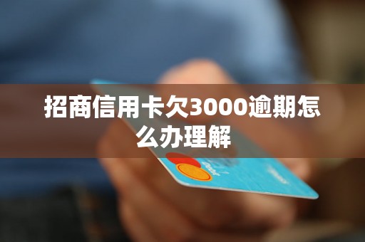 招商信用卡欠3000逾期怎么办理解