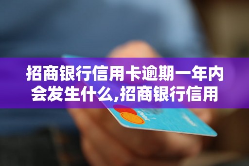 招商银行信用卡逾期一年内会发生什么,招商银行信用卡逾期一年内的后果是什么