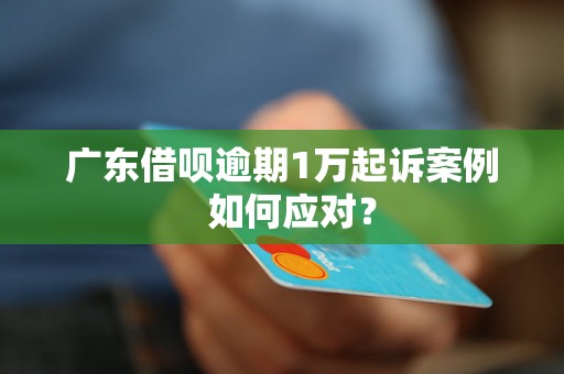 广东借呗逾期1万起诉案例  如何应对？