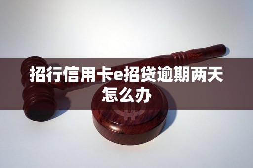 招行信用卡e招贷逾期两天怎么办