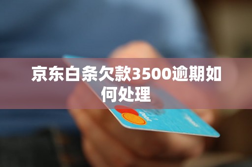 京东白条欠款3500逾期如何处理