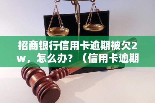 招商银行信用卡逾期被欠2w，怎么办？（信用卡逾期处理方法详解）