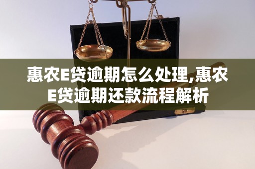 惠农E贷逾期怎么处理,惠农E贷逾期还款流程解析