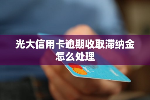 光大信用卡逾期收取滞纳金怎么处理