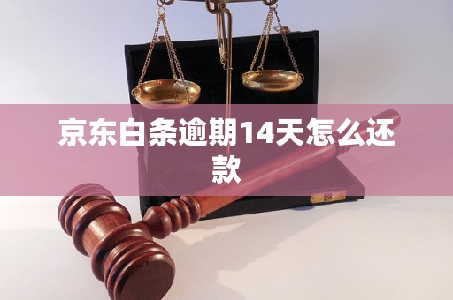 京东白条逾期14天怎么还款