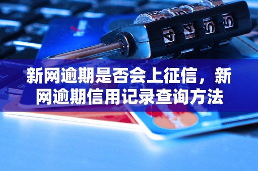 新网逾期是否会上征信，新网逾期信用记录查询方法