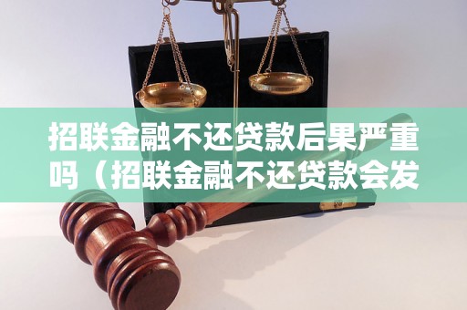 招联金融不还贷款后果严重吗（招联金融不还贷款会发生什么）