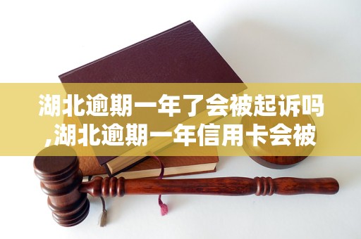 湖北逾期一年了会被起诉吗,湖北逾期一年信用卡会被起诉吗