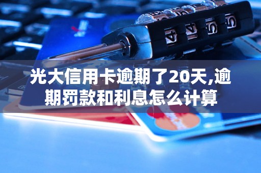 光大信用卡逾期了20天,逾期罚款和利息怎么计算