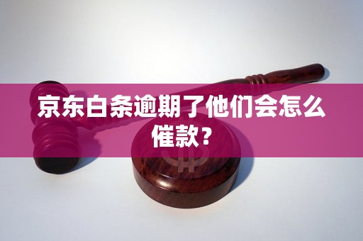 京东白条逾期了他们会怎么催款？