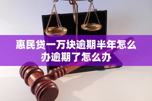 惠民贷一万块逾期半年怎么办逾期了怎么办