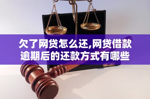 欠了网贷怎么还,网贷借款逾期后的还款方式有哪些