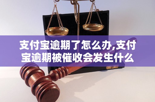 支付宝逾期了怎么办,支付宝逾期被催收会发生什么