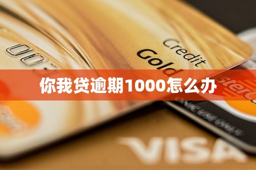 你我贷逾期1000怎么办