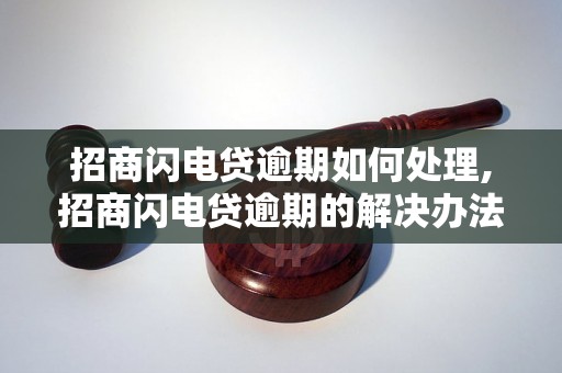 招商闪电贷逾期如何处理,招商闪电贷逾期的解决办法