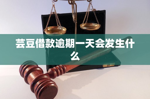 芸豆借款逾期一天会发生什么