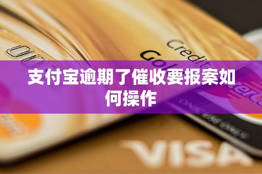 支付宝逾期了催收要报案如何操作