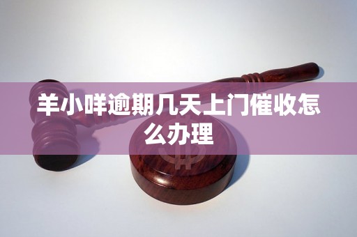 羊小咩逾期几天上门催收怎么办理