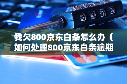 我欠800京东白条怎么办（如何处理800京东白条逾期）